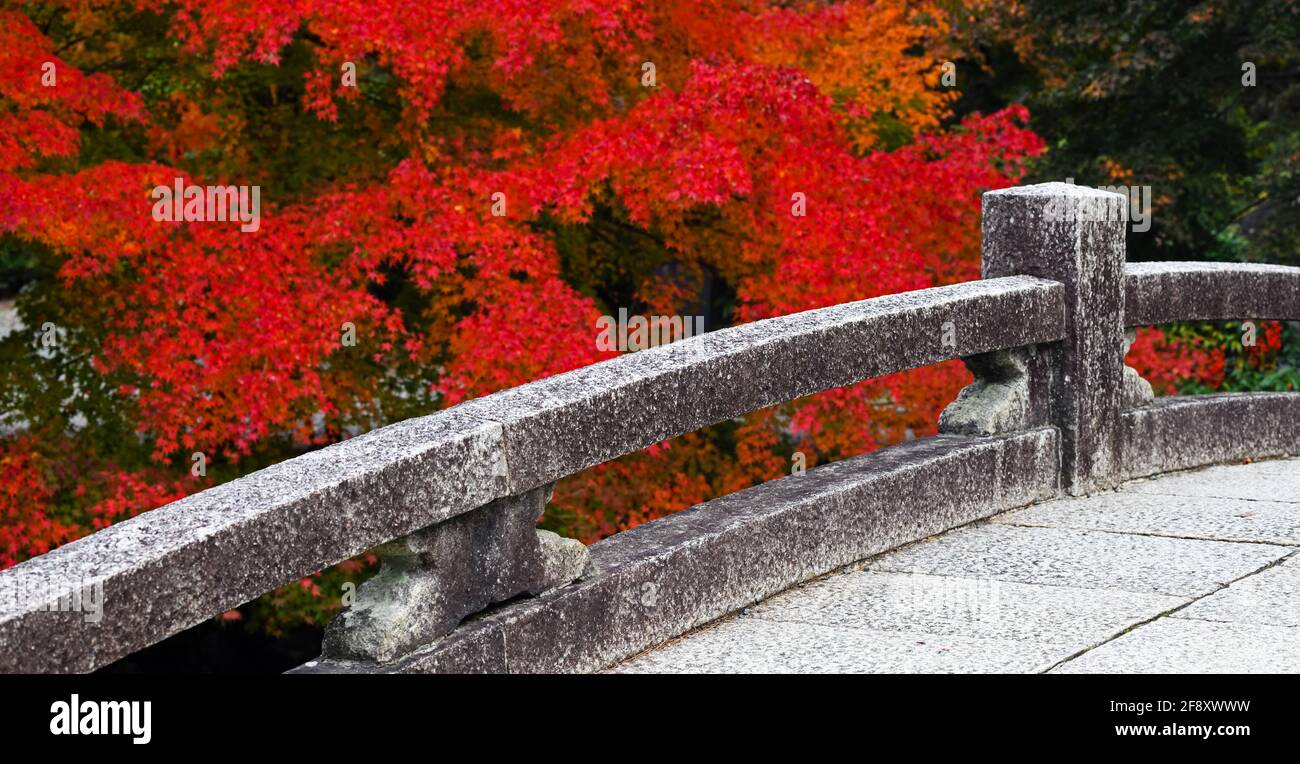 Japanische Ahornblätter in Herbstfarben und Brücke, Chion-in Tempel, Kyoto, Japan Stockfoto