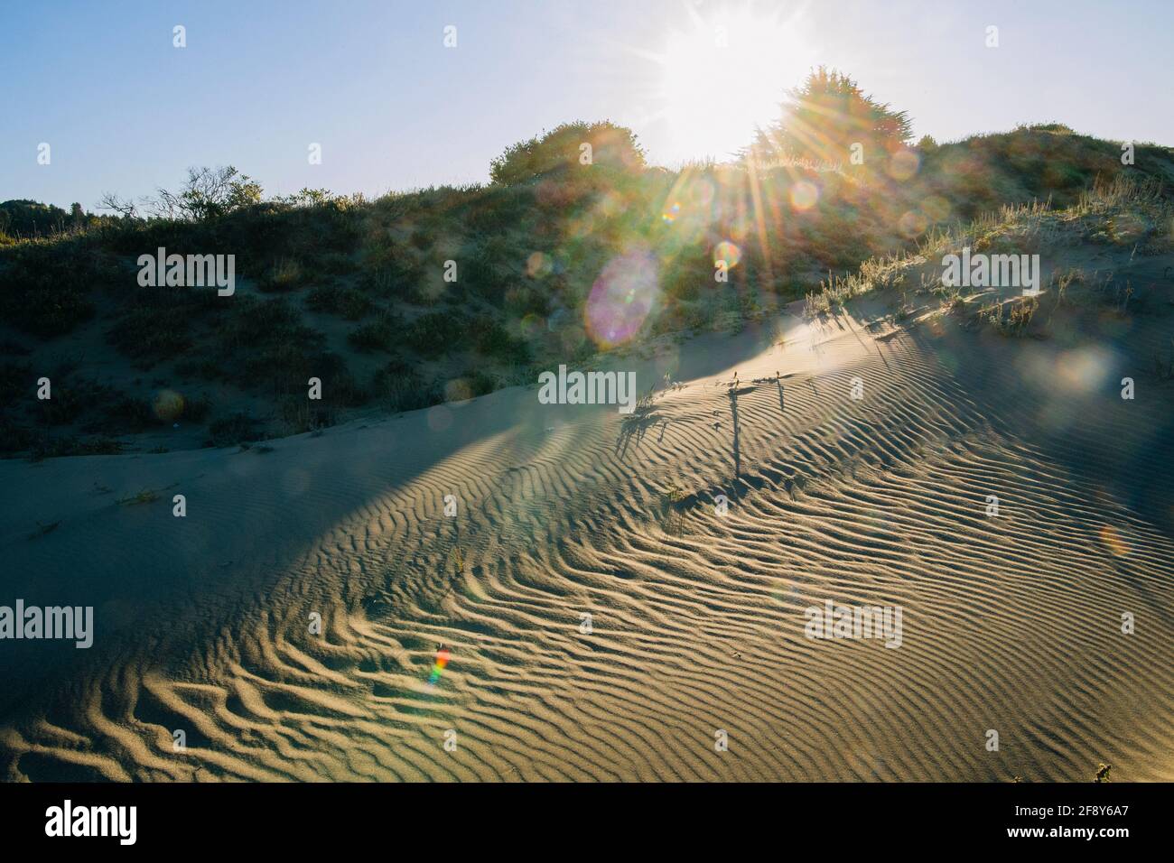 Sandy Beach, Fort Bragg, Kalifornien, USA Stockfoto