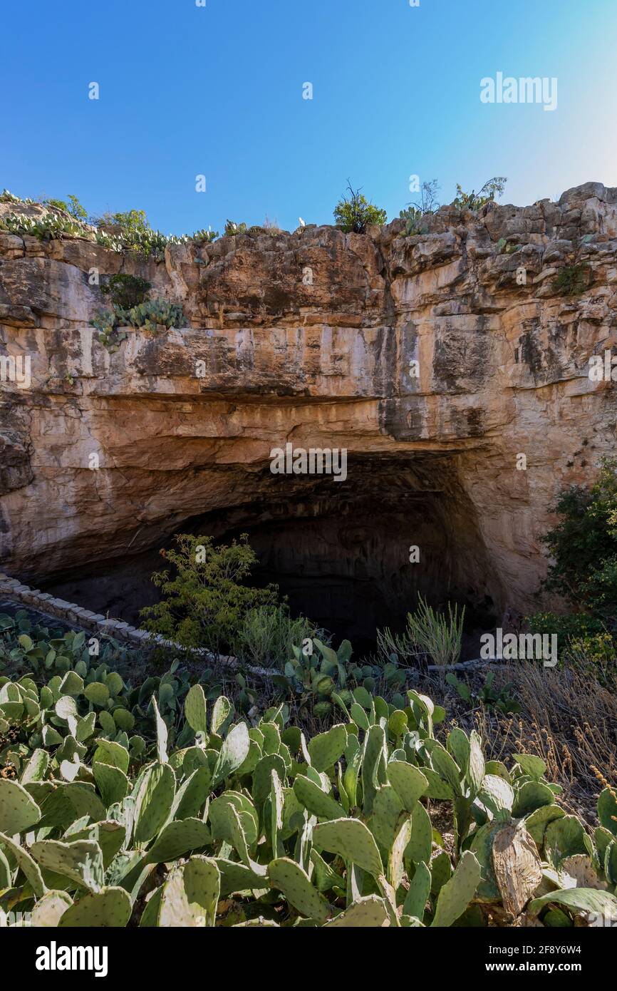 Natürlicher Eingang Pfad, der in die beleuchteten Höhlen des Carlsbad Caverns National Park, New Mexico, USA, führt Stockfoto