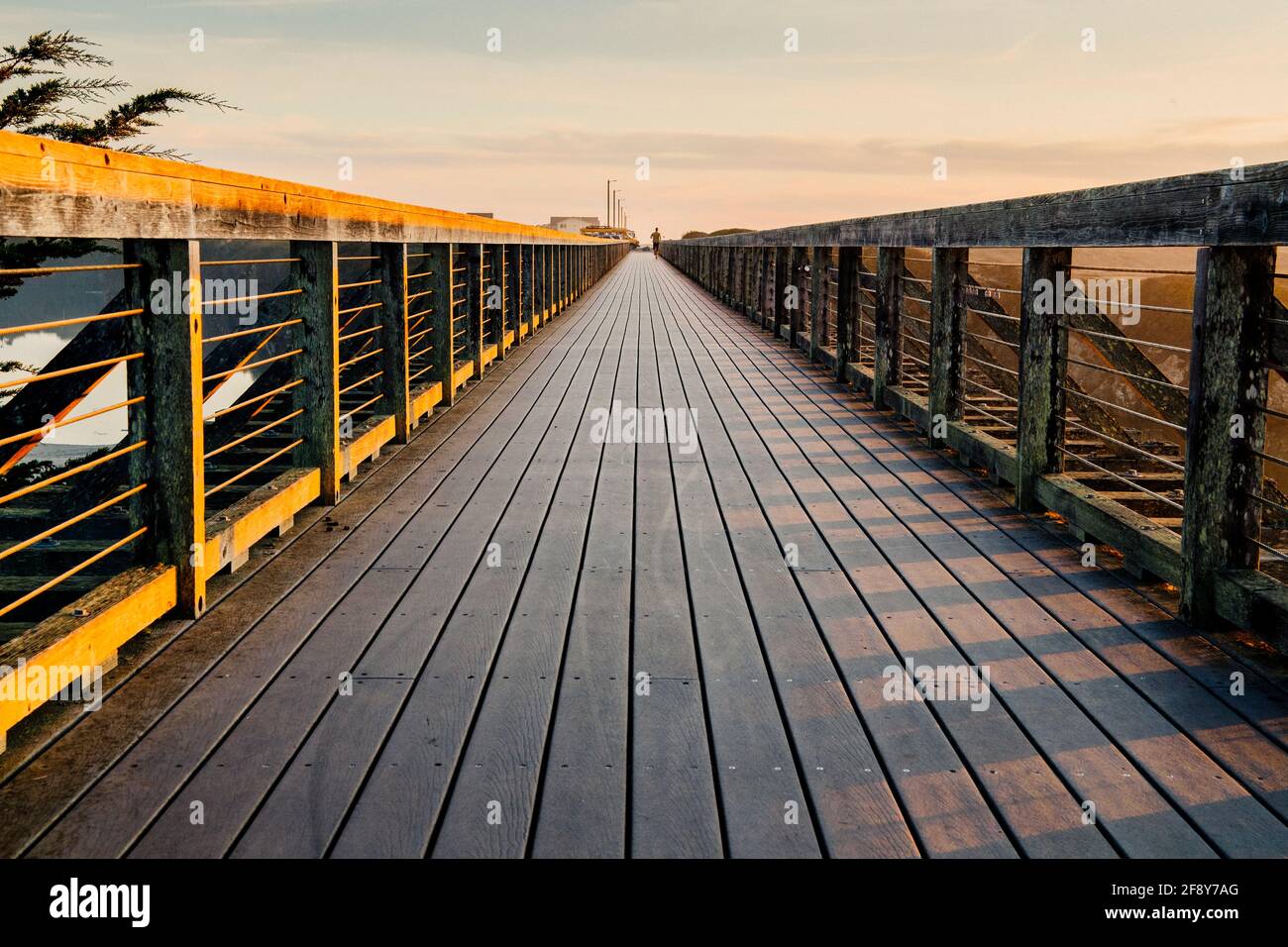 Gehen Sie auf der Brücke, Pudding Creek Trestle, Fort Bragg, Kalifornien, USA Stockfoto