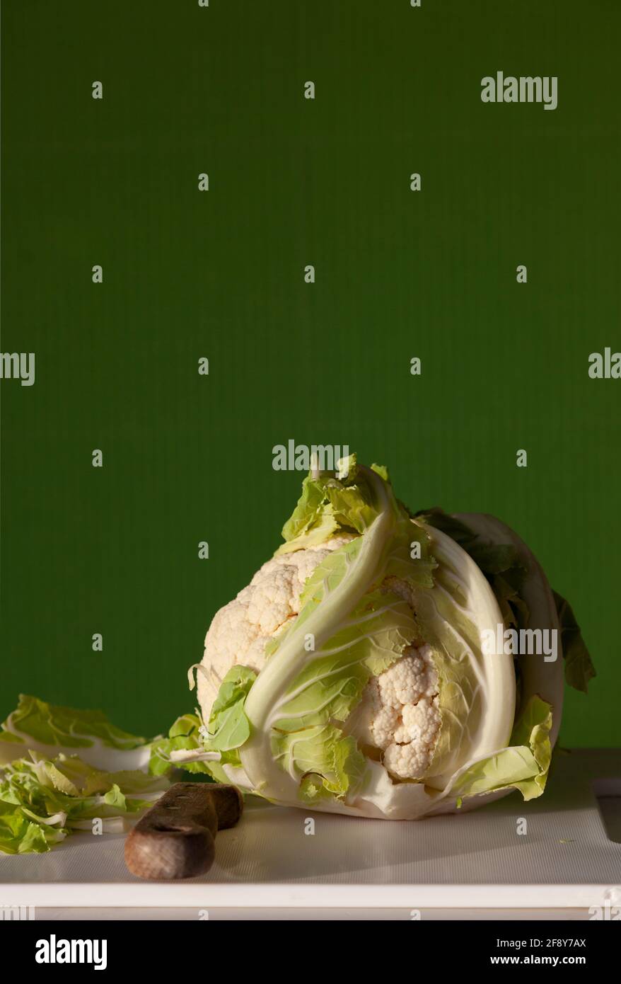 Ein ganzer Blumenkohl auf einem weißen Schneidebrett mit Messer Und ein einfarbiger, grün gestreifter Hintergrund Stockfoto