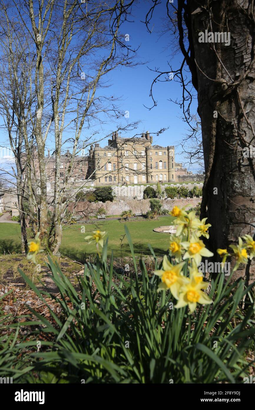 Schottland, Ayrshire, Culzean Castle & Grounds 12 Apr 2021 Stockfoto