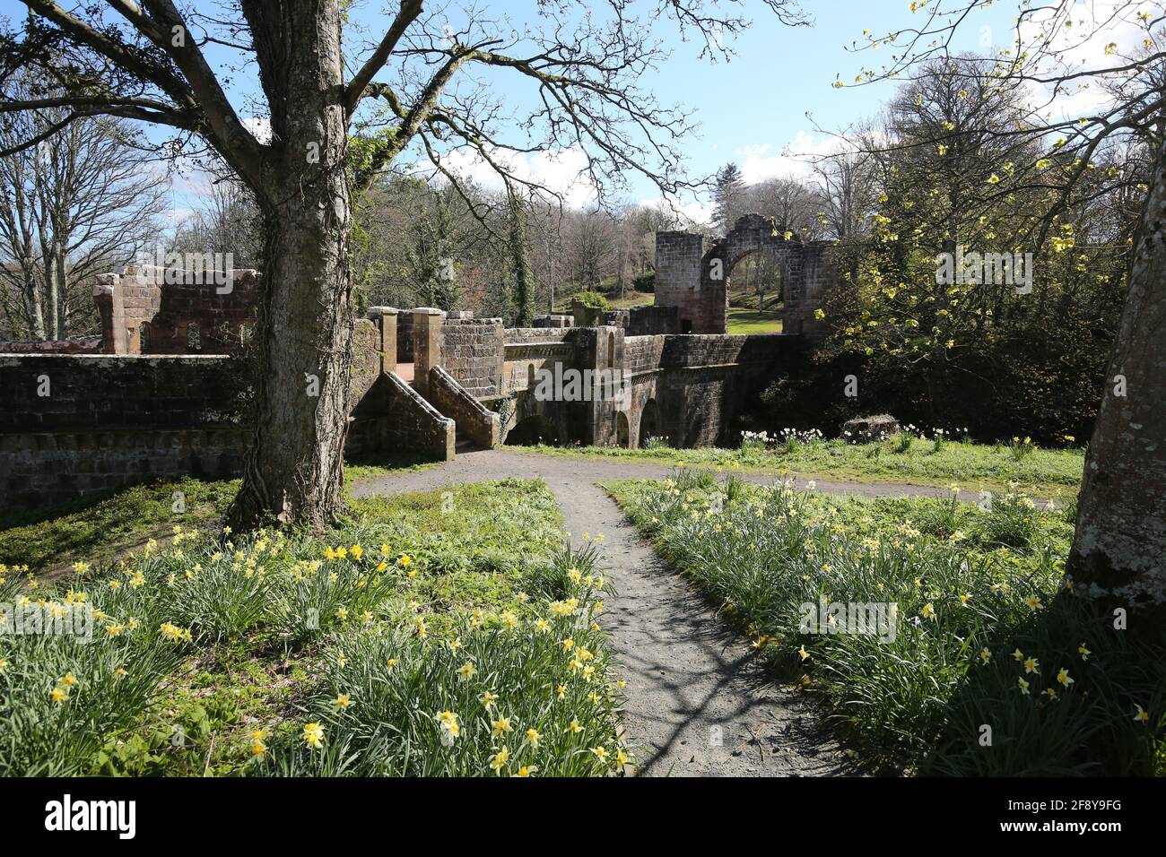 Schottland, Ayrshire, Culzean Castle & Grounds 12 Apr 2021 Stockfoto