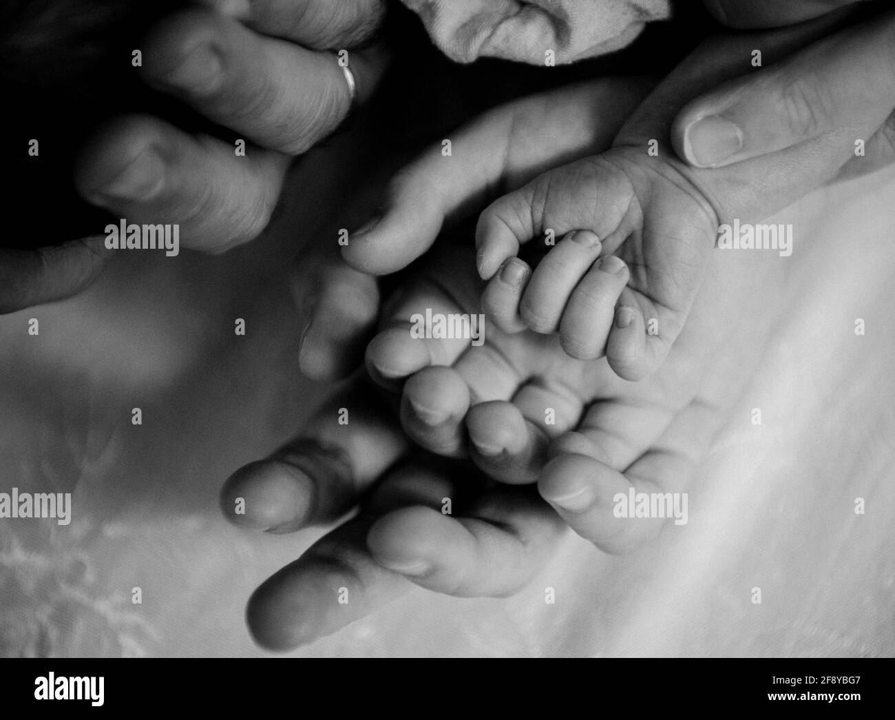 Nahaufnahme der Hände der Familie mit neugeborenem Baby Stockfoto