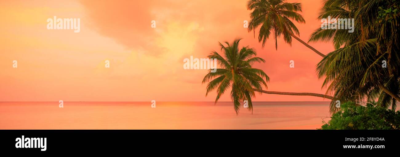 Palmen gegen dramatischen Himmel bei Sonnenaufgang, Fihalhohi Island, Malediven Stockfoto