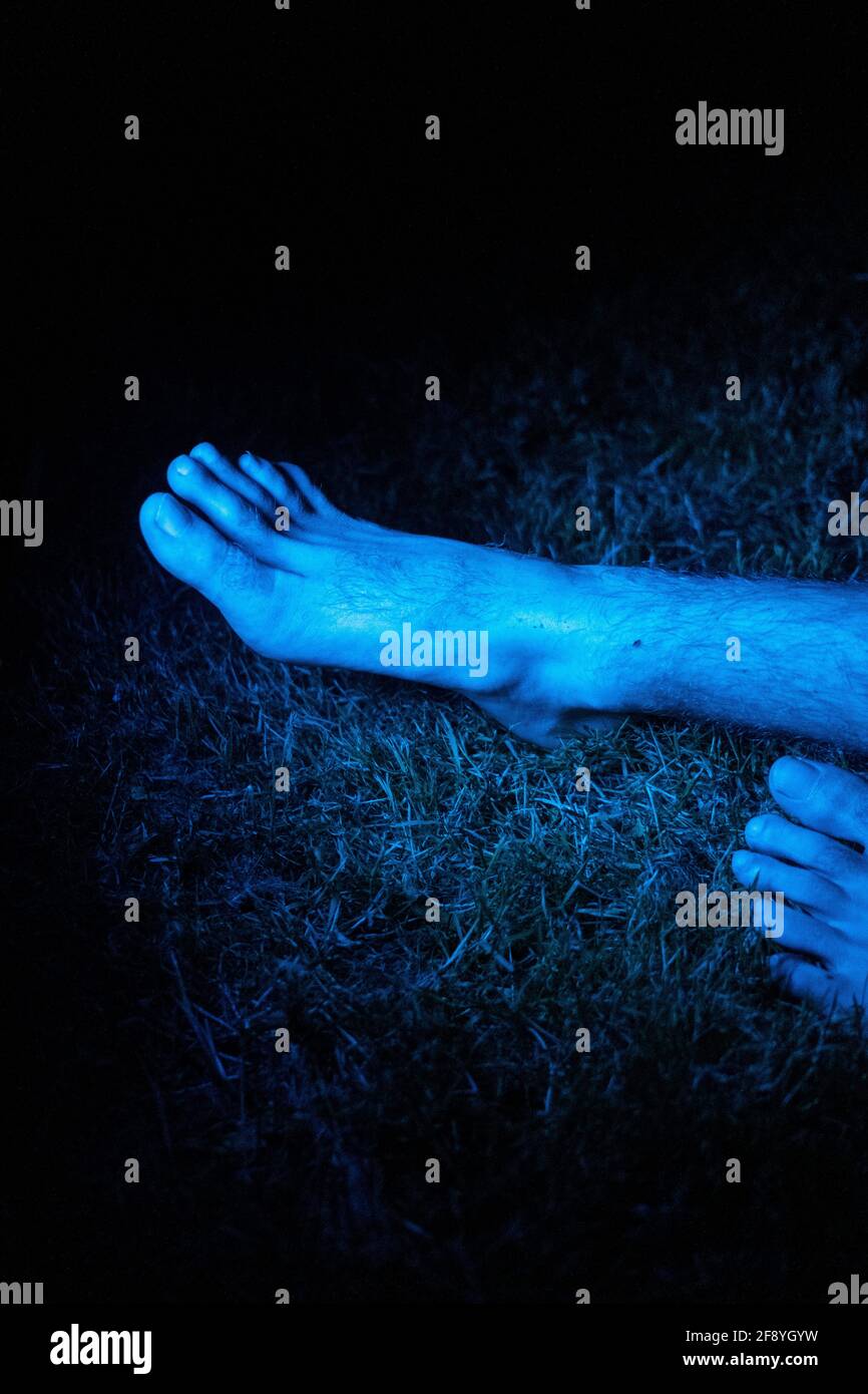 Alltag in der Bretagne. Vie quotidienne en Bretagne. Stockfoto