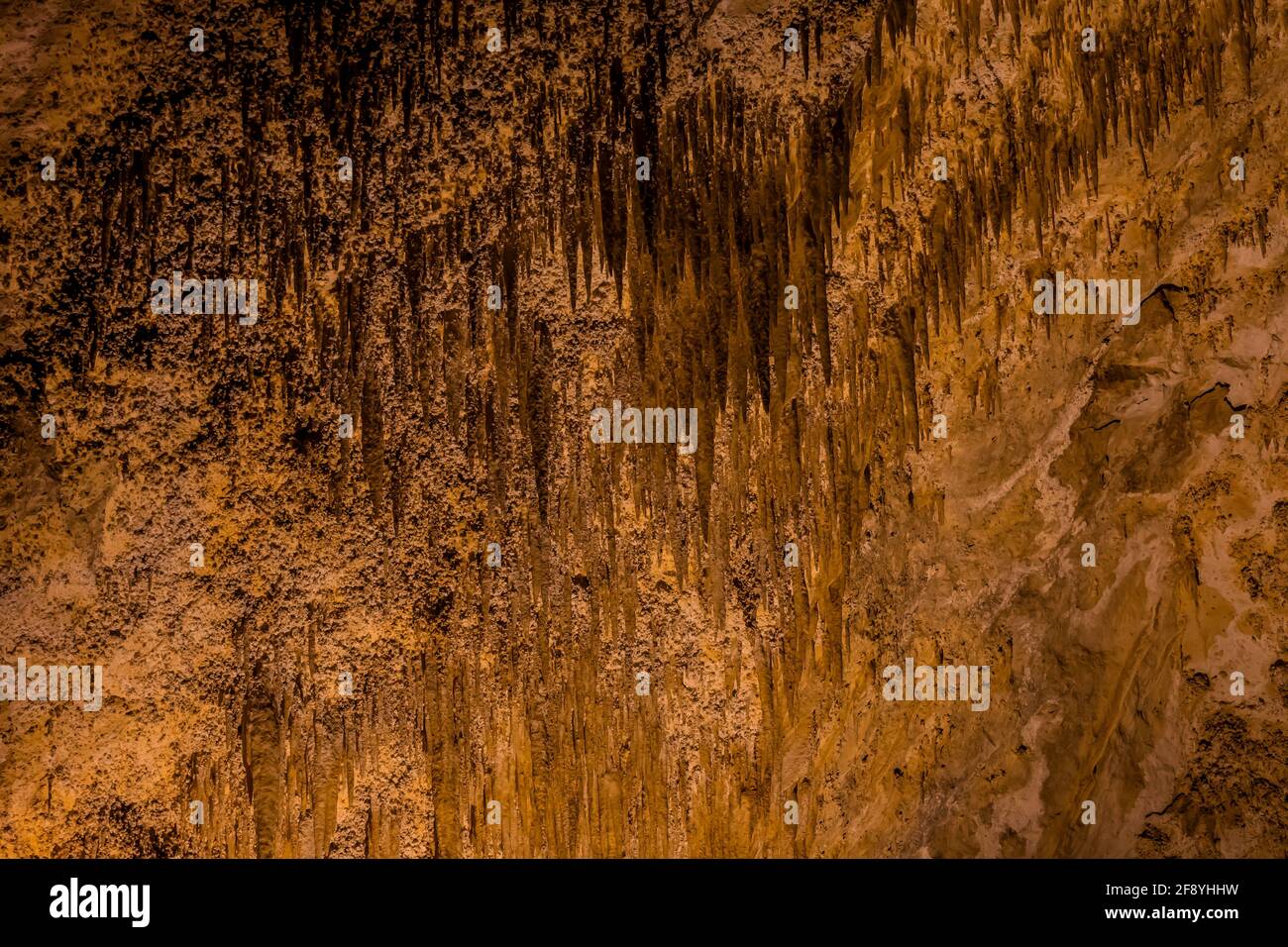 Wunderschöne Stalaktitenformationen im Green Lake Room tief unter der Erde im Carlsbad Caverns National Park, New Mexico, USA Stockfoto