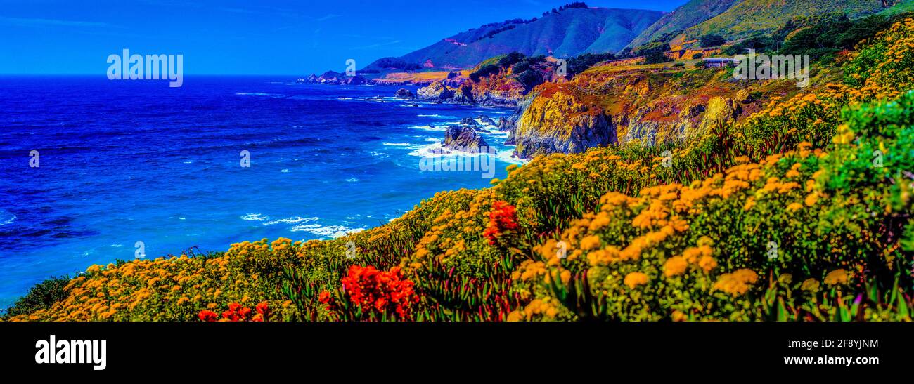 Pazifikküste mit Klippen und Blumen, Big Sur, Kalifornien, USA Stockfoto