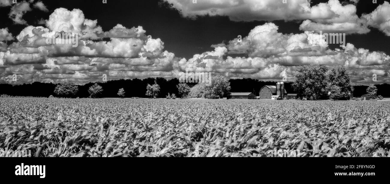 Michigan Farm in schwarz-weiß, USA Stockfoto