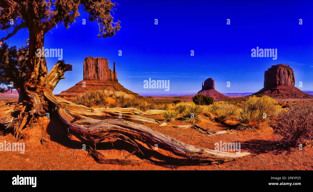 Wüstenlandschaft mit Mitten Buttes und Merrick Butte, Monument Valley, Arizona, USA Stockfoto