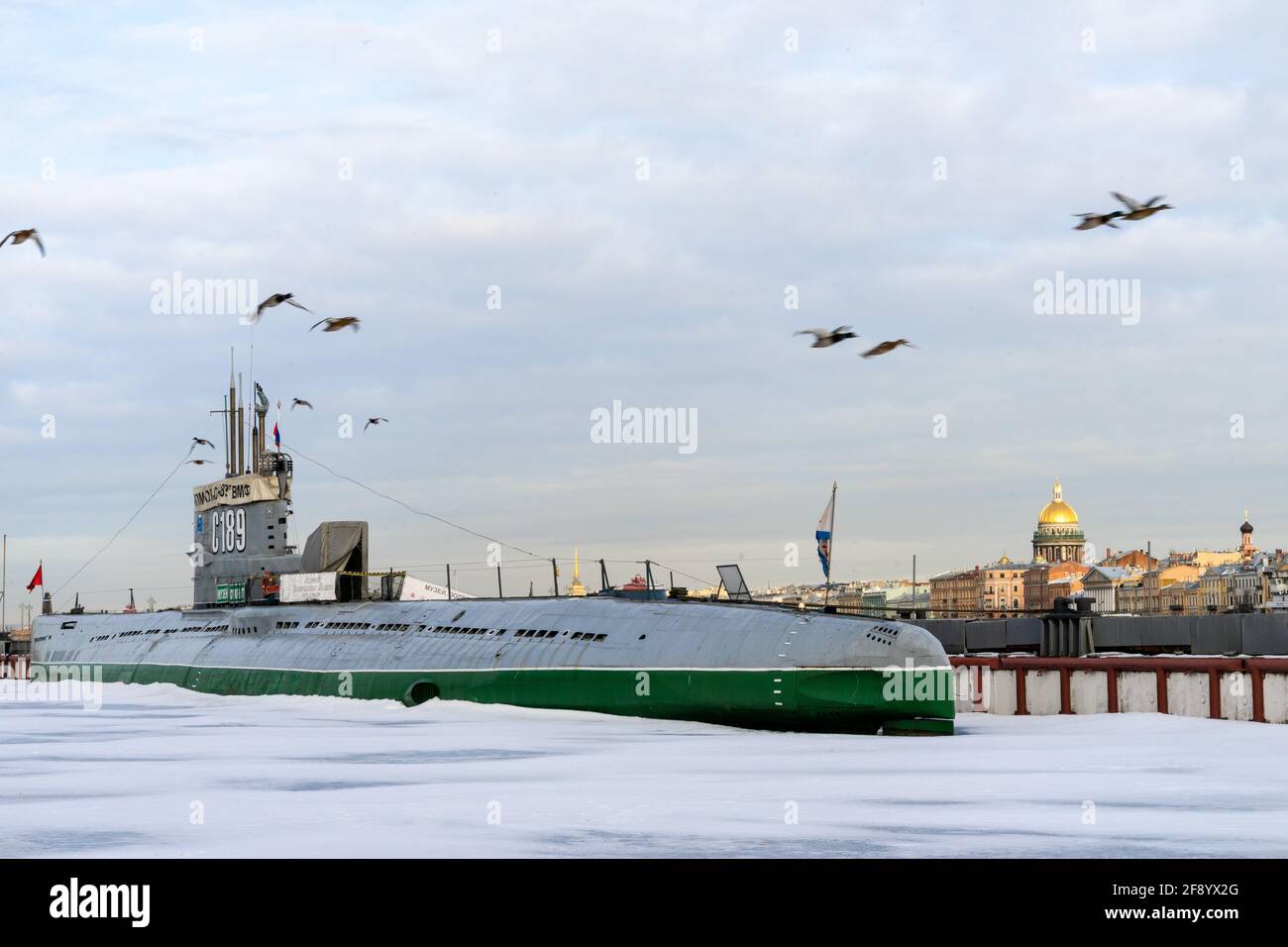 Ein Museumsschiff, das sowjetische U-Boot S-189, komplett renoviert und neu lackiert, steht auf dem Eis des Flusses Neva, St. Petersburg, Russland Stockfoto