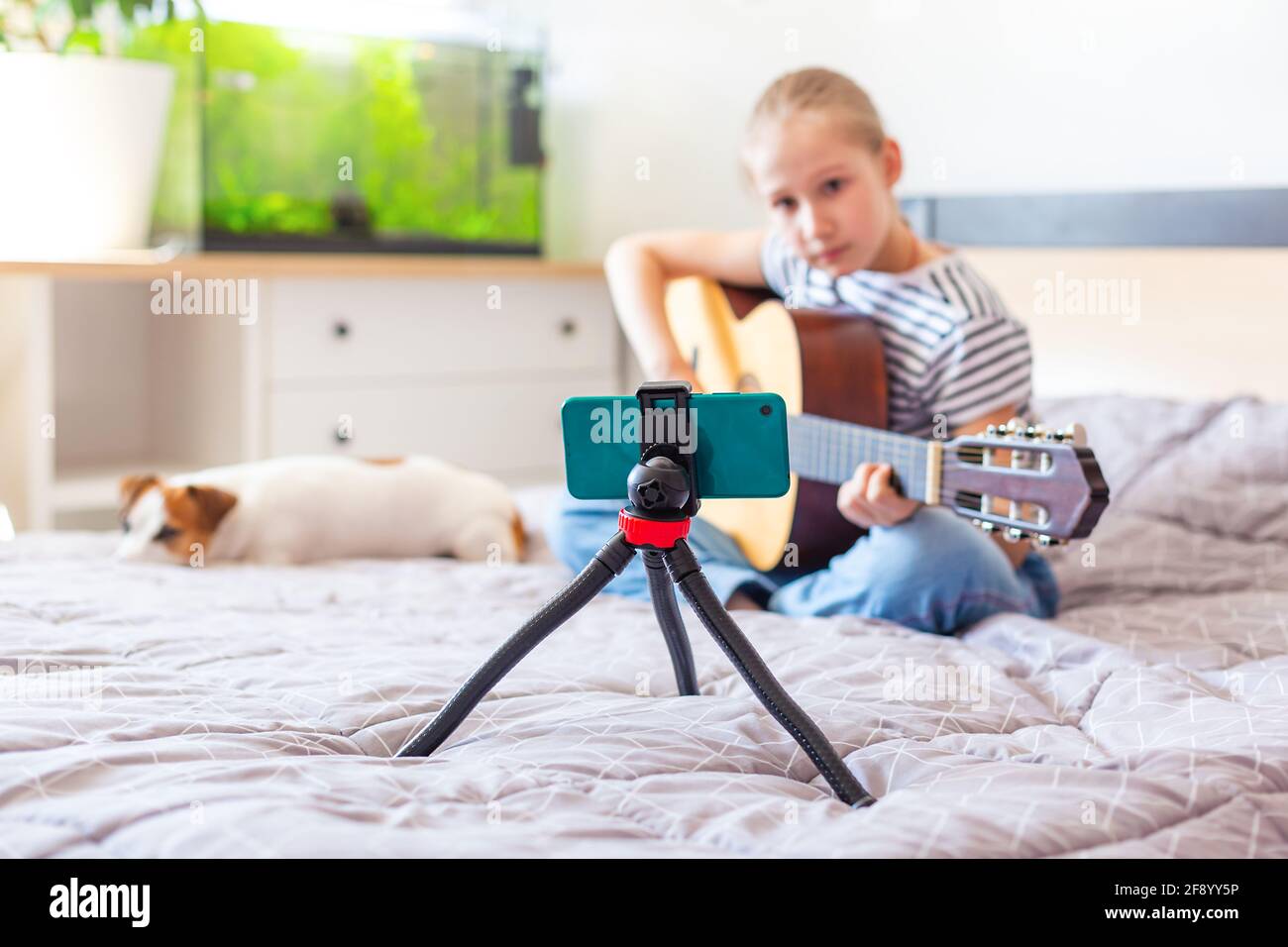 Eine Bloggerin spielt zu Hause Gitarre und blickt auf einem Stativ in ein Smartphone. Stockfoto