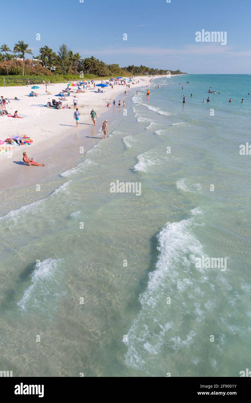 Weißer Sandstrand und grünes Wasser am Golf von Mexiko in Naples, Florida, USA Stockfoto