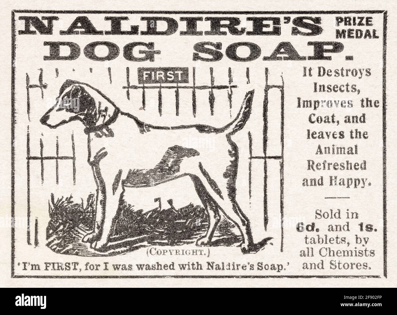 Alte Vintage Ewardian Magazin Petcare Anzeige (Flohbehandlung) von 1911 - Pre-Werbung Standards. Hergestellt von Wright und Holdsworth aus London. Stockfoto