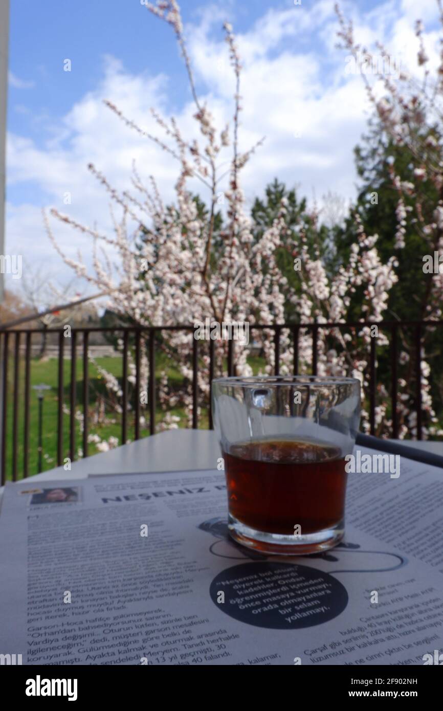Ein Glas Tee auf dem Balkon mit blühenden Blumen im Frühling Stockfoto