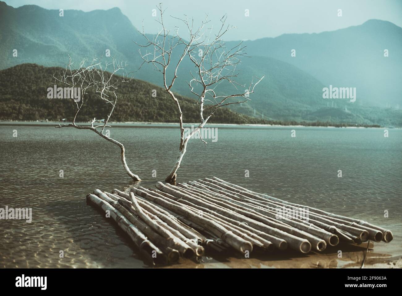 Ein hölzerner Floß, der am Rand eines Sees, Vietnam, festgemacht ist Stockfoto