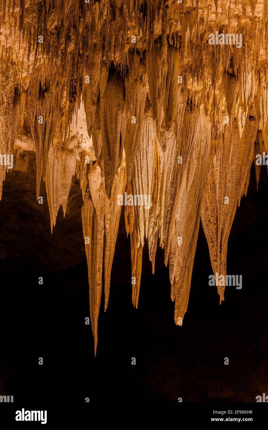 Atemberaubende Formationen des Temple of the Sun tief unter der Erde im Carlsbad Caverns National Park, New Mexico, USA Stockfoto