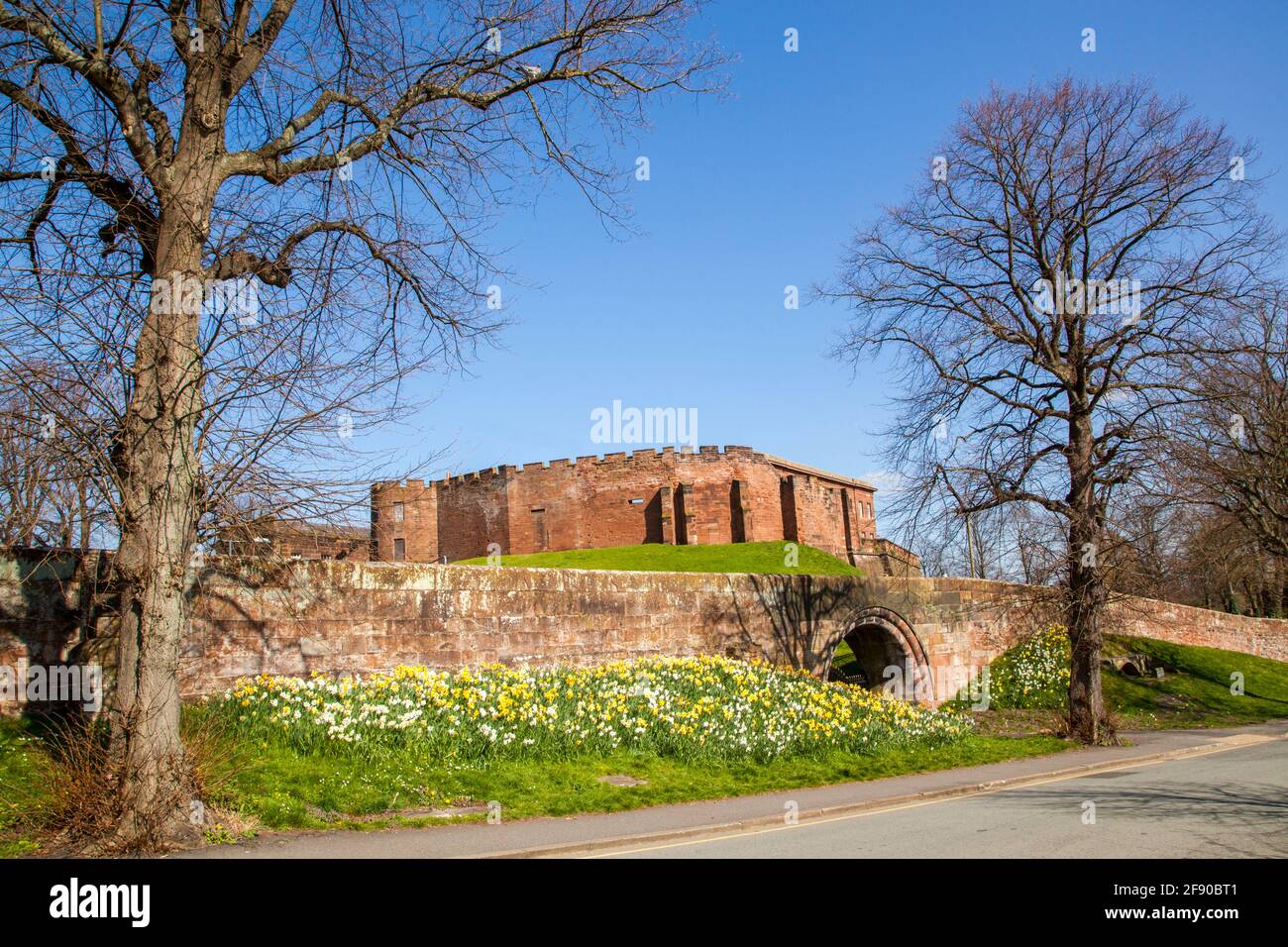 Das Chester Castle und der Agricola Tower, der über den römischen Stadtmauern steht und im Frühling Narzissen auf dem Damm wachsen Stockfoto