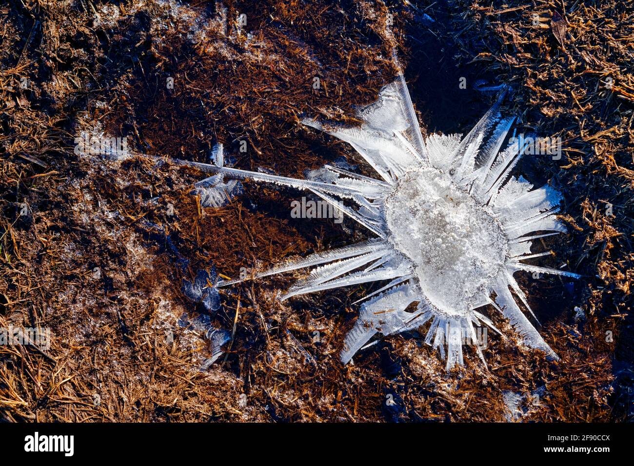 Nahaufnahme von Eiskristallen, Island Stockfoto