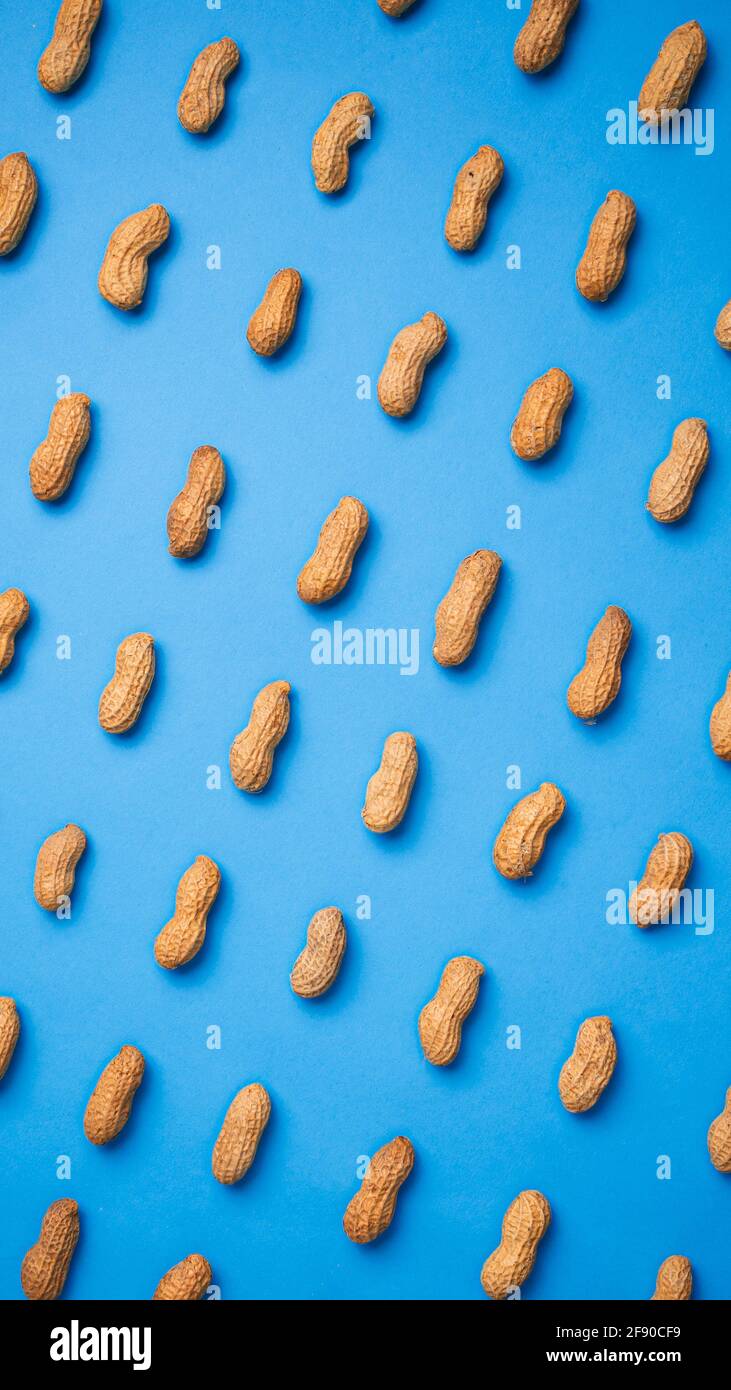 Muster von isolierten Erdnüssen auf blauem Hintergrund. Draufsicht. Stockfoto