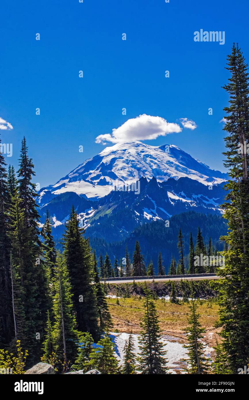 Mount Rainier an einem sonnigen Frühlingstag mit blauem Himmel Stockfoto