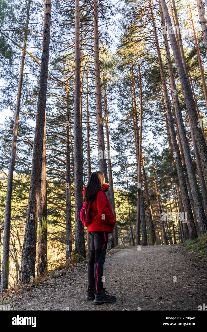 Vertikale Aufnahme einer Wanderin, die die Ruhe von genießt Der Wald Stockfoto