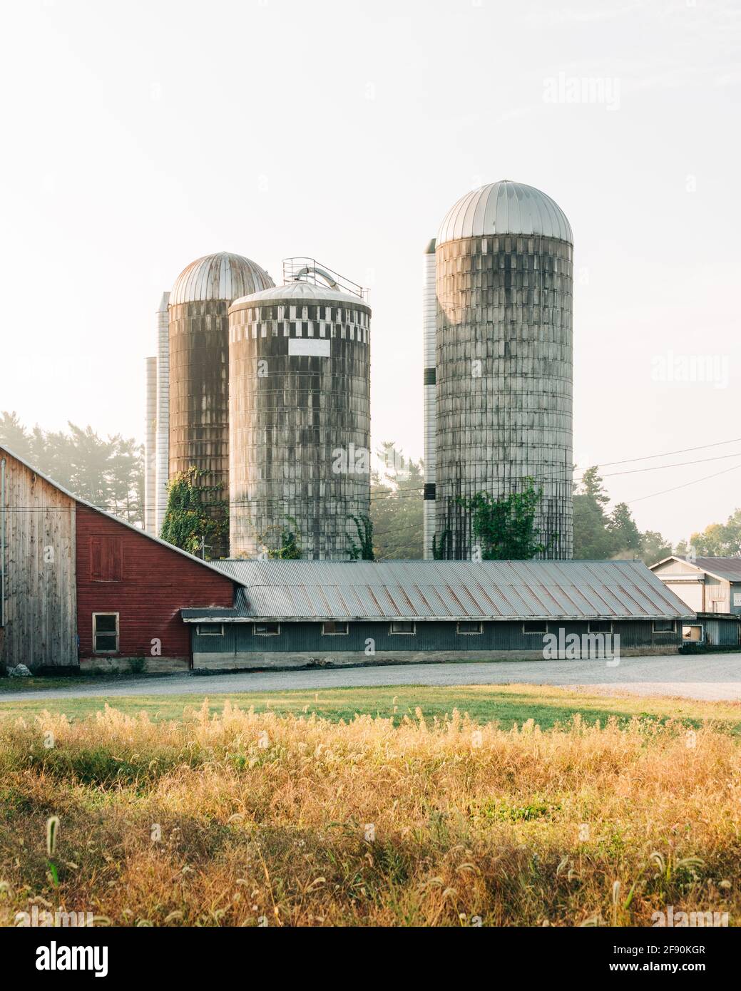 Eine Scheune auf einem Bauernhof in Kerhonkson, New York Stockfoto