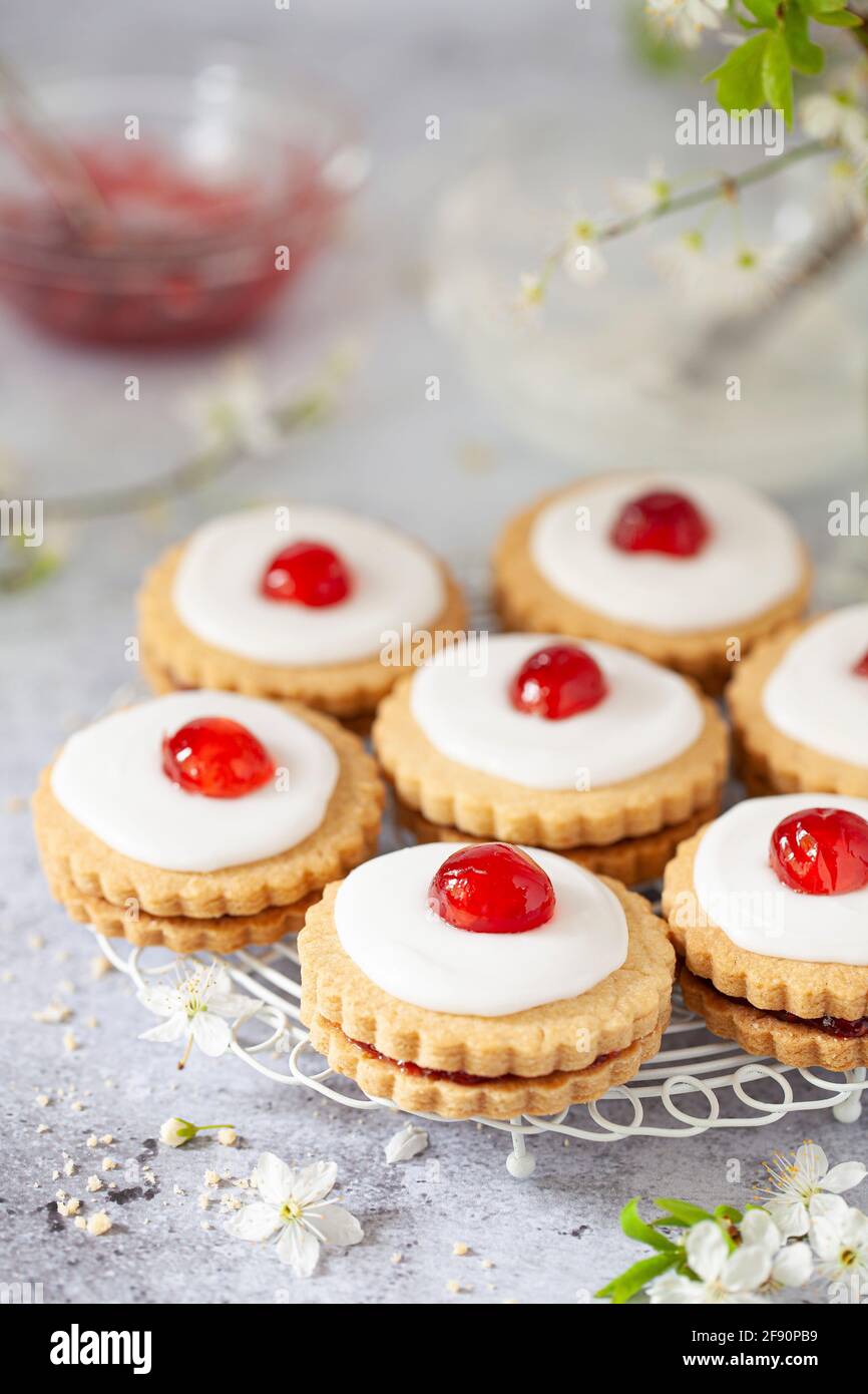 Mit Marmelade gefüllte Shortbread Empire-Kekse auf einem kleinen Drahtgitter. Die Kekse sind mit einer Glasur und einer Glace-Kirsche dekoriert Stockfoto