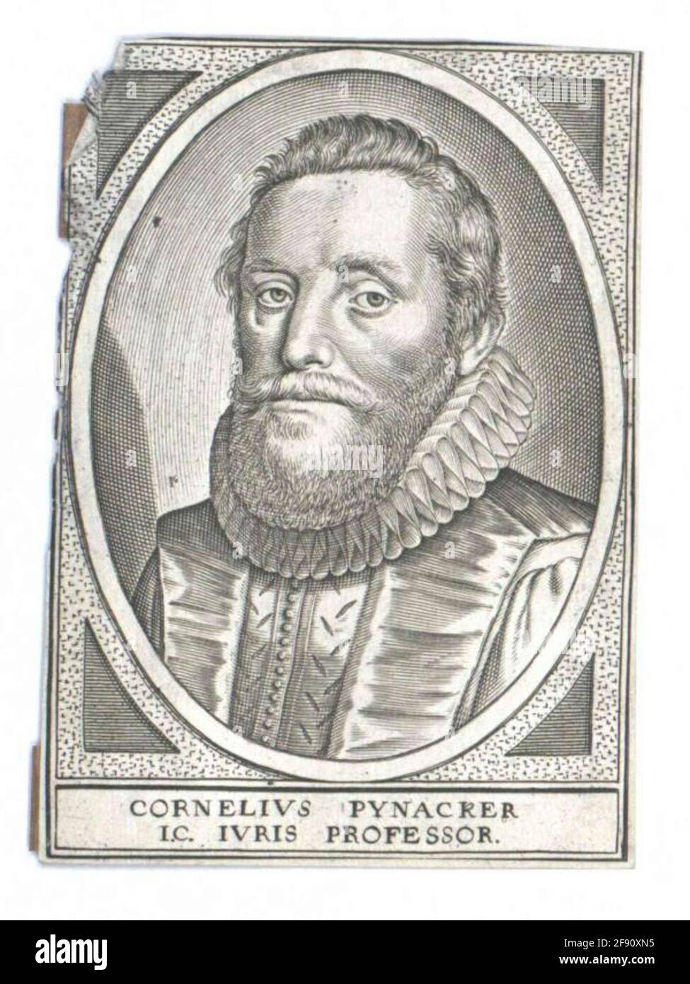 Pijnacker, Cornelis van. Stockfoto