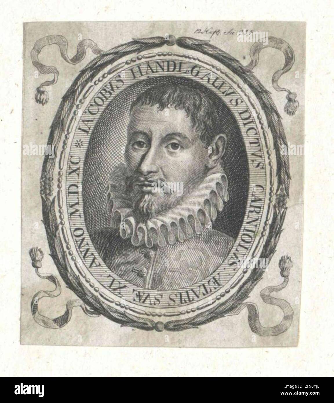 Jacobus gallus Fotos und Bildmaterial in hoher Auflösung Alamy