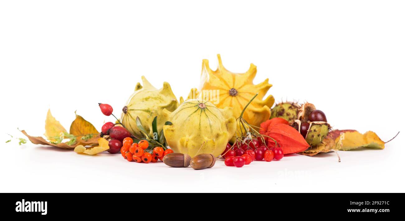 Herbstdekoration mit trockenen Blättern, Kürbissen und mehr, isoliert auf Weiß Stockfoto