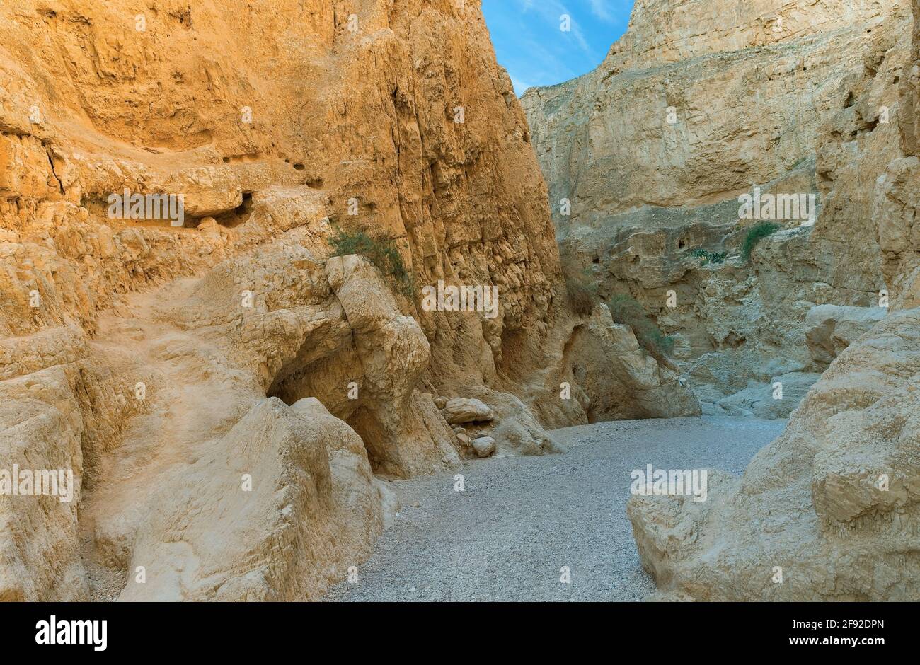 schlucht des OG-Flussbetts bei Sonnenaufgang in Israel Stockfoto