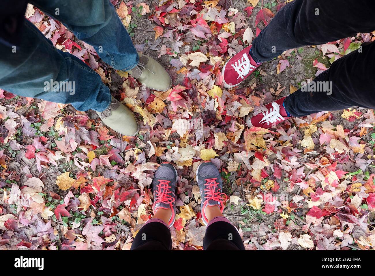 Draufsicht auf drei Beine, die auf bunten Herbstbäumen stehen Stockfoto