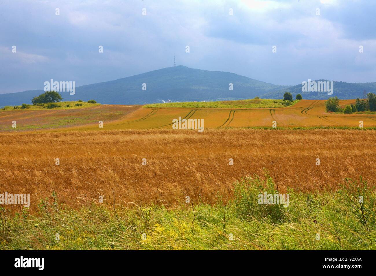 Polen, Berg Sleza, woiwodschaft Niederschlesien. Stockfoto