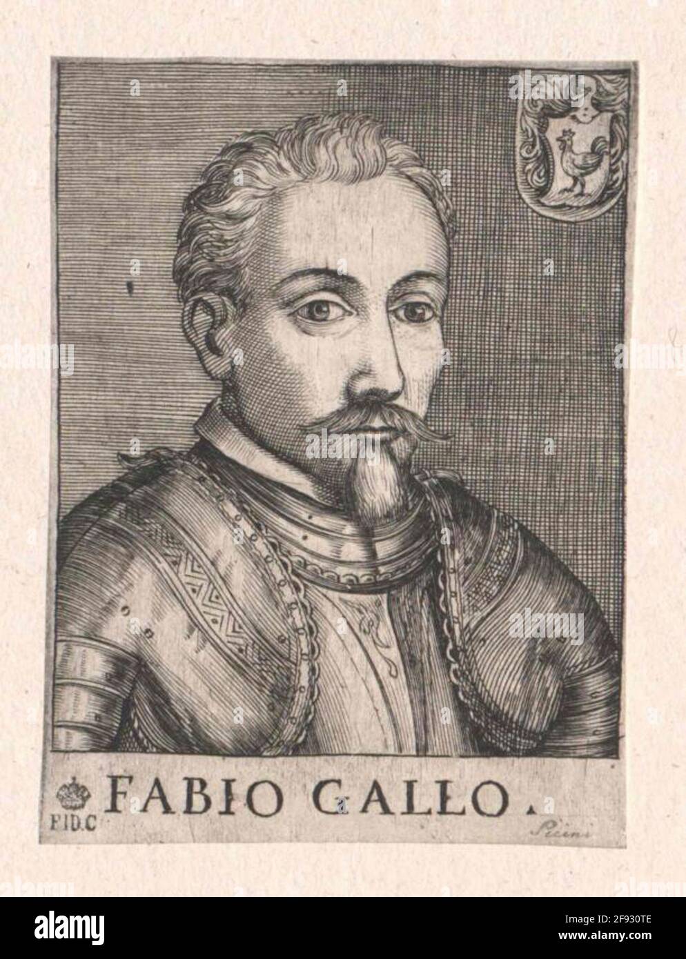 Hahn, Fabio. Stockfoto