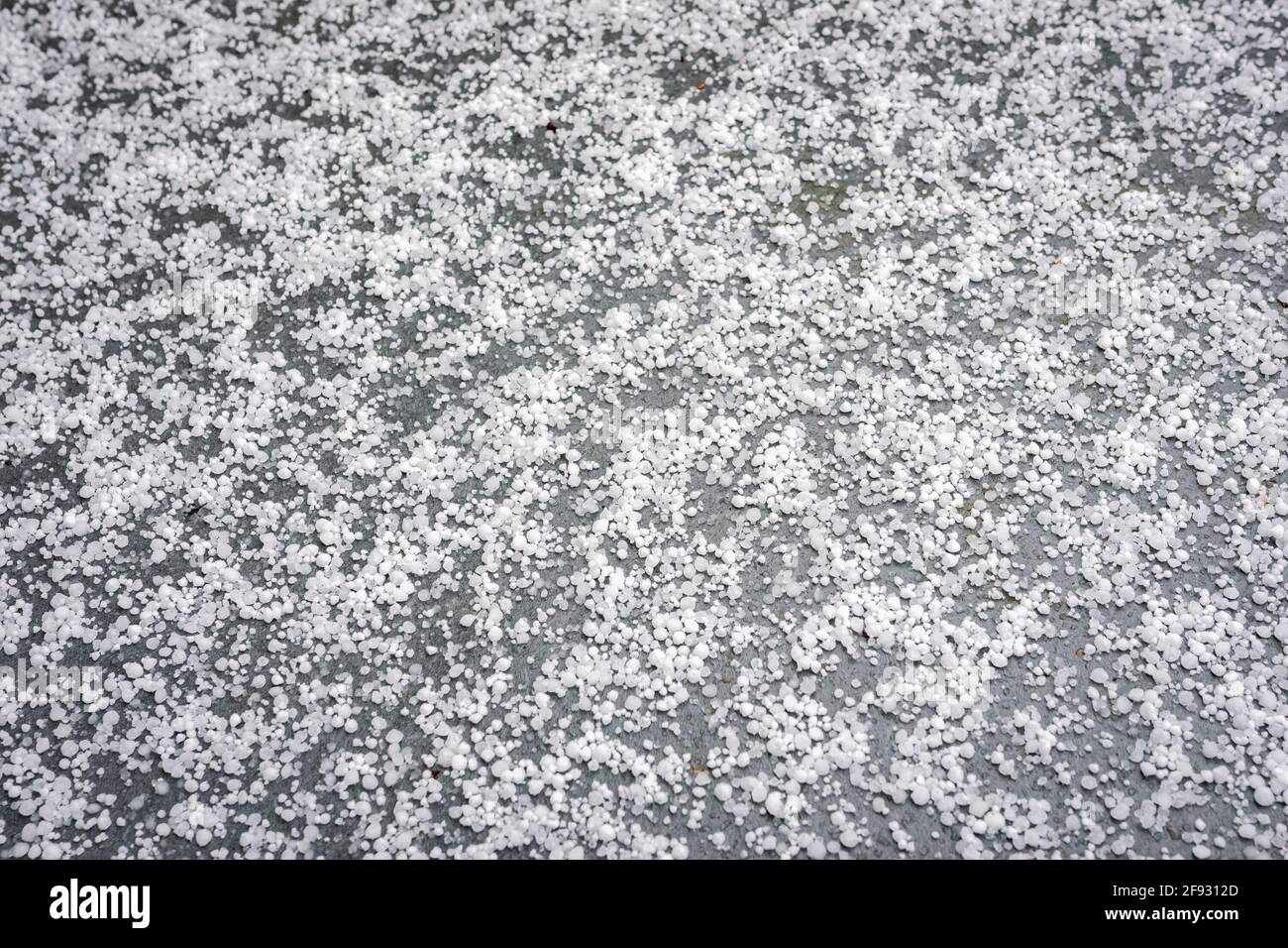 Hagelsteine auf dem Boden nach einer winterlichen Dusche Stockfoto