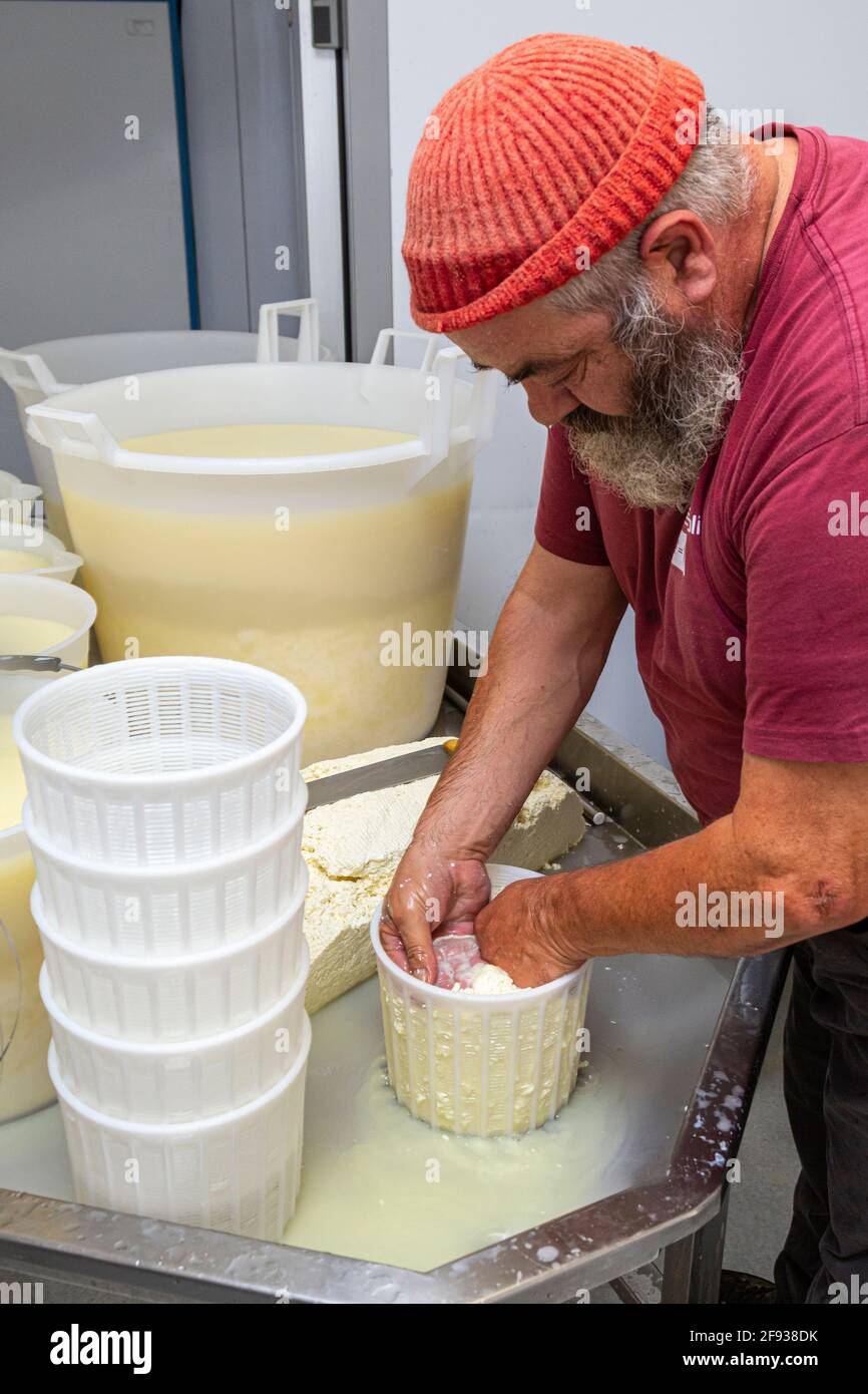 Pastor Gregorio bereitet in seiner Molkerei Ricotta zum Verkauf vor. Scanno, Provinz L'Aquila, Abruzzen, Italien, Europa Stockfoto