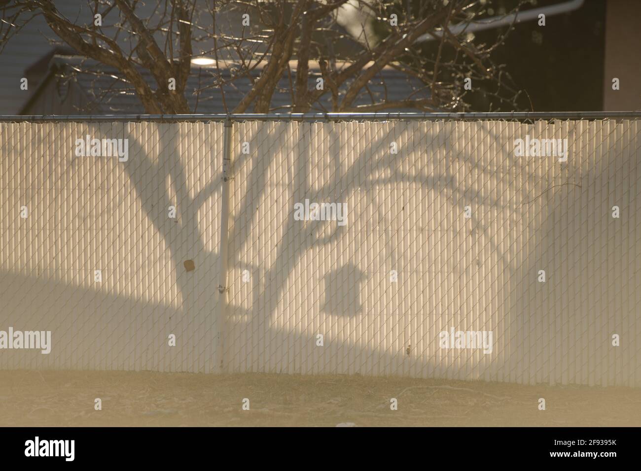 Schatten am Zaun des Vogelfutterhäuschen, die an einem Baum hängen Städtisches Viertel weißer Zaun schwarzer Schatten von Ästen leer Platz für type Morgensonne Stockfoto