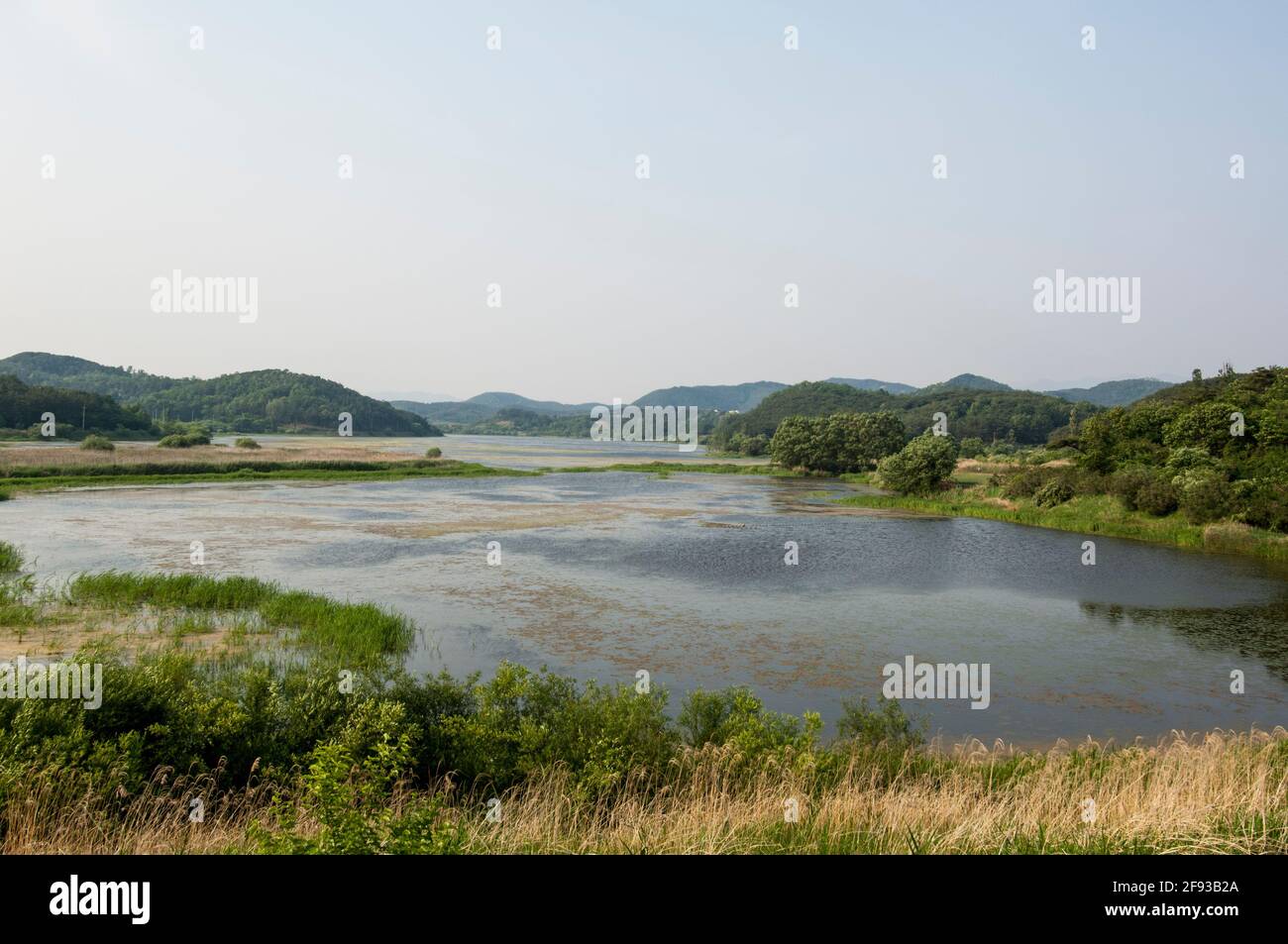 Upo Wetland ist ein Naturschutzgebiet Stockfoto