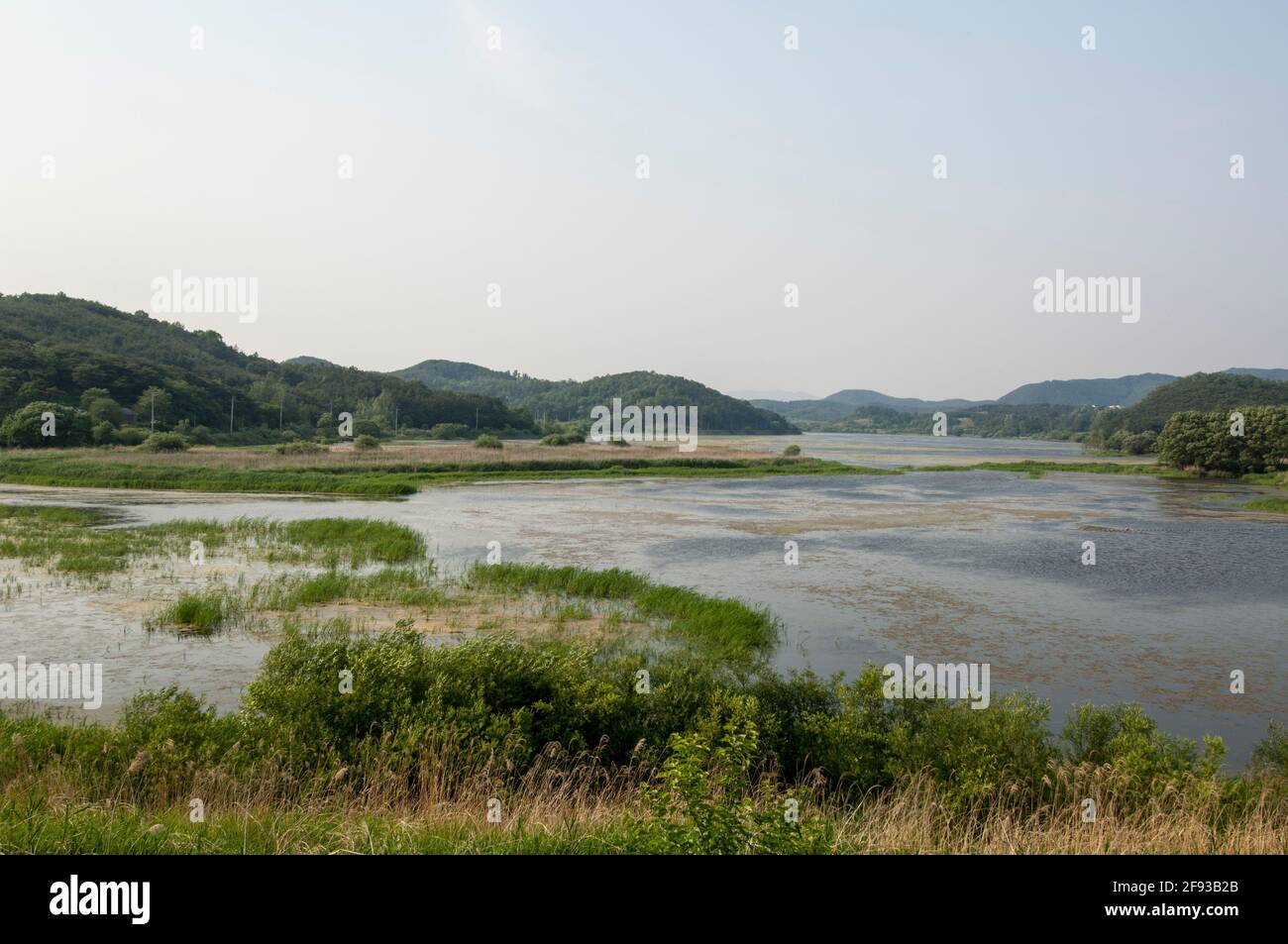 Upo Wetland ist ein Naturschutzgebiet Stockfoto