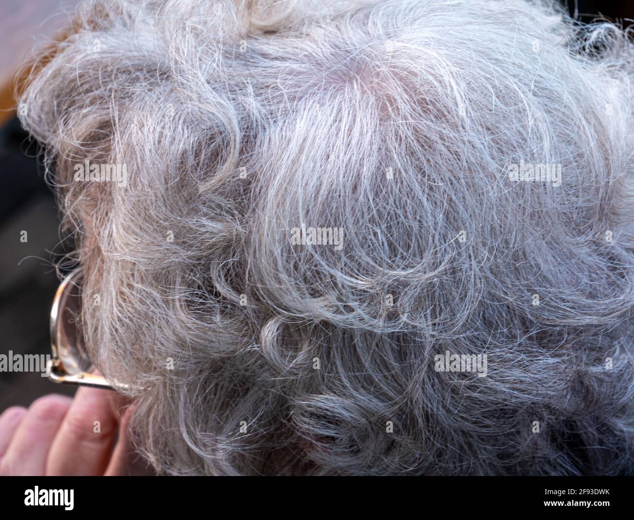 Alte Frau mit grauen Haaren Stockfoto