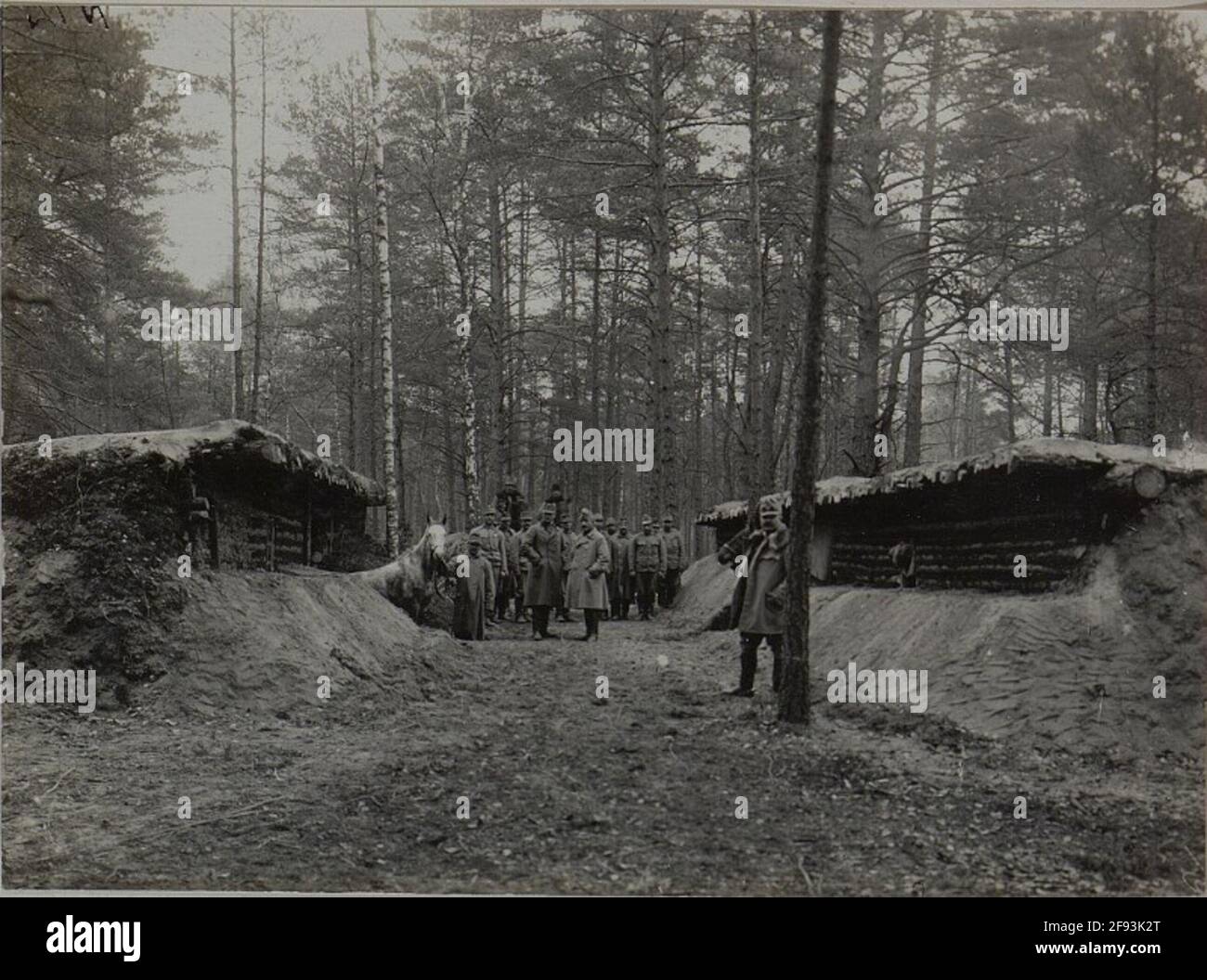 Stallungen eines Eskadrons des Husaren-Regiments Nr. 4 in Moszczenica, aufgenommen am 21. Oktober 1915. Stockfoto