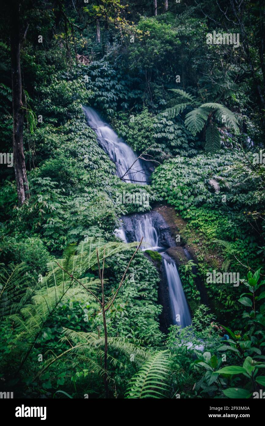 Die wunderschönen Wasserfälle in Bali Stockfoto