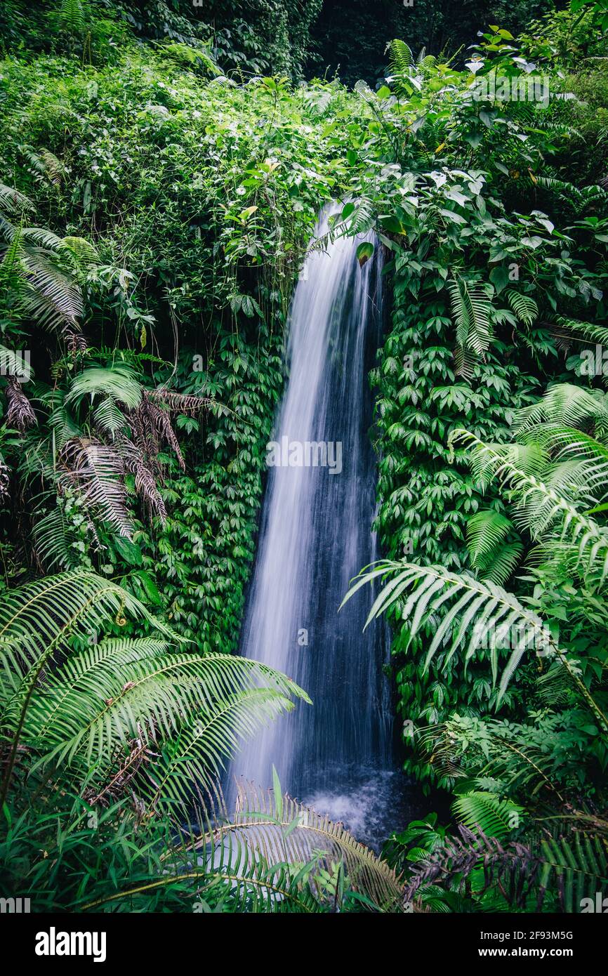 Die wunderschönen Wasserfälle in Bali Stockfoto