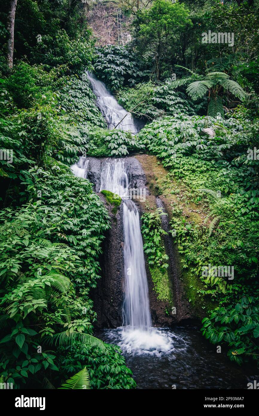 Die wunderschönen Wasserfälle in Bali Stockfoto