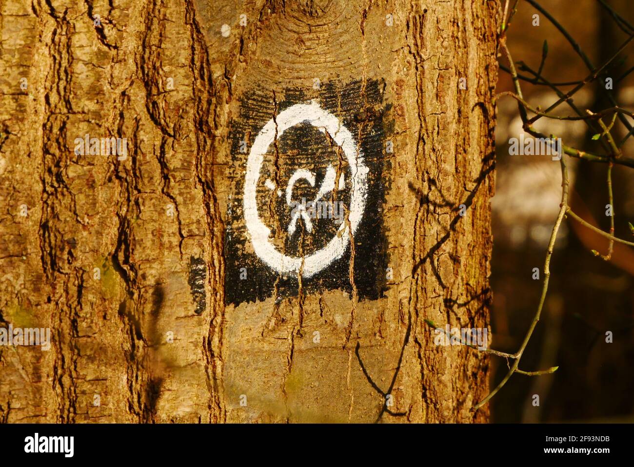 Posthorn als Symbol für einen Wanderweg Ein Baumstamm Stockfoto