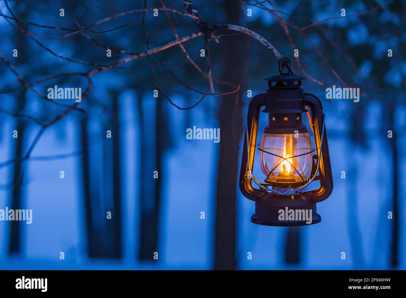Ein Licht in der Dunkelheit eines Winterabends, mit einer Laterne, die versucht, den Dämmerungswald, Mecosta County, Michigan, USA, zu erleuchten Stockfoto