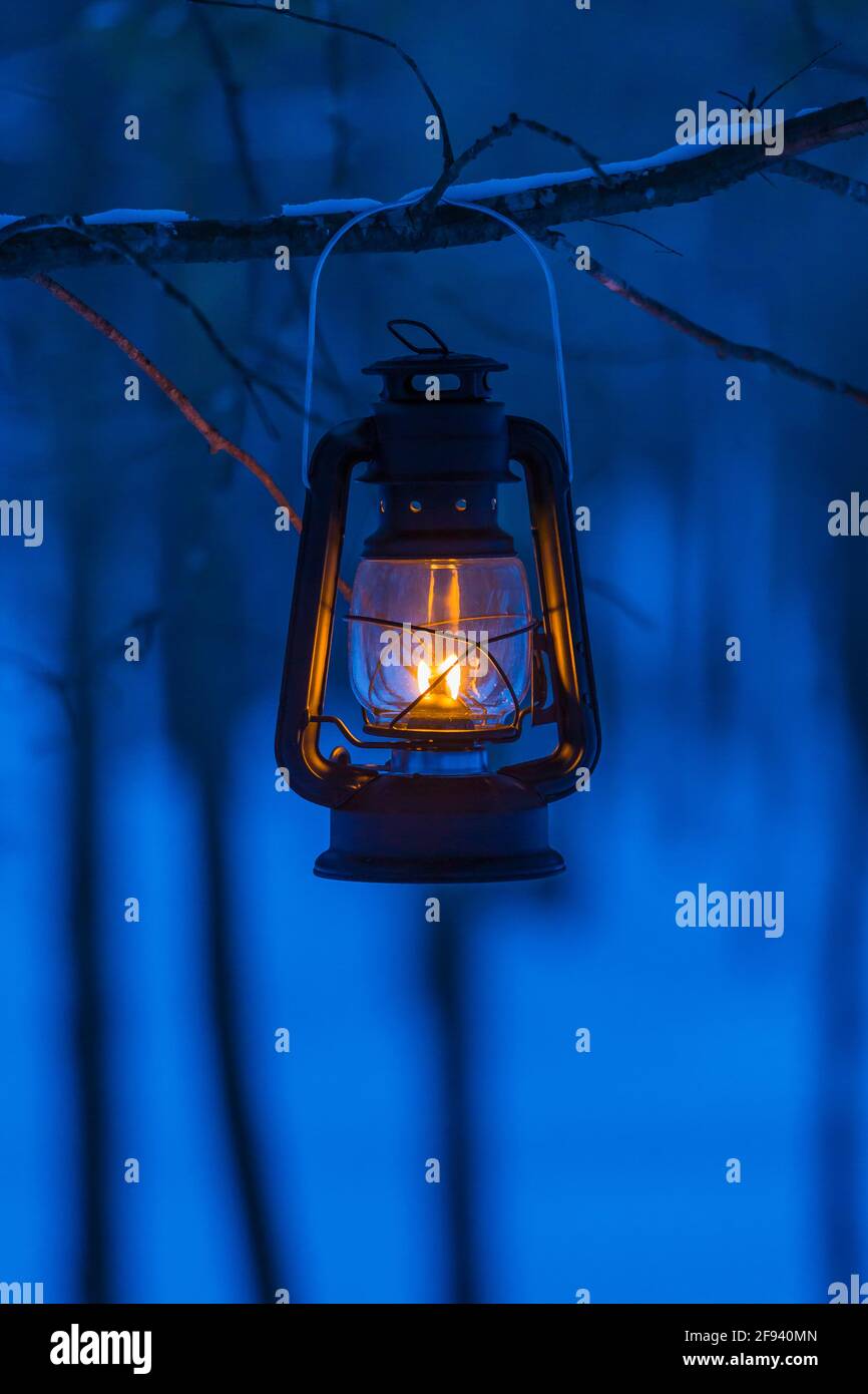 Ein Licht in der Dunkelheit eines Winterabends, mit einer Laterne, die versucht, den Dämmerungswald, Mecosta County, Michigan, USA, zu erleuchten Stockfoto