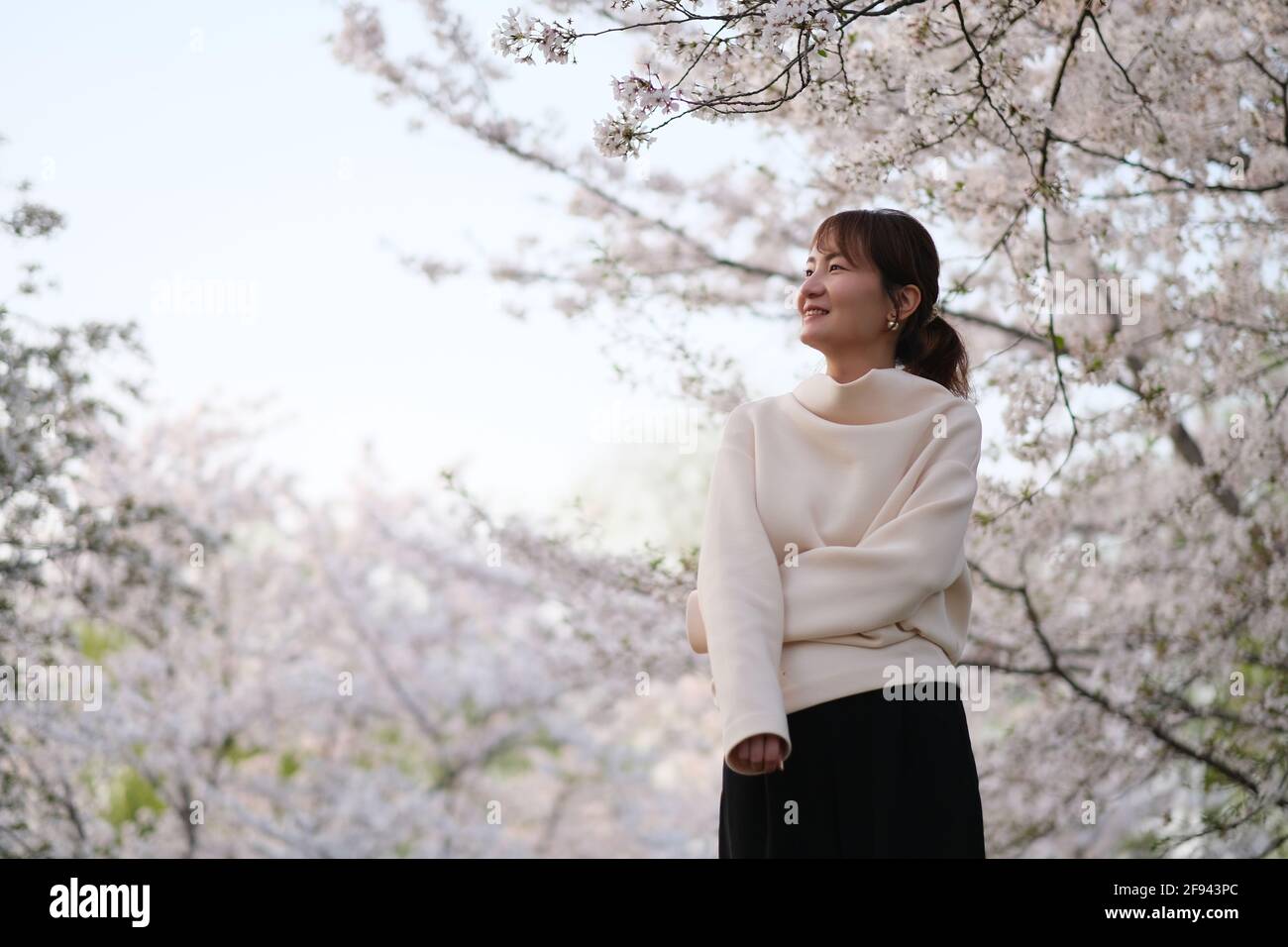 Mittlere Aufnahme einer lächelnden asiatischen jungen Frau unter einem weißen Sakura-Blumenbaum Stockfoto