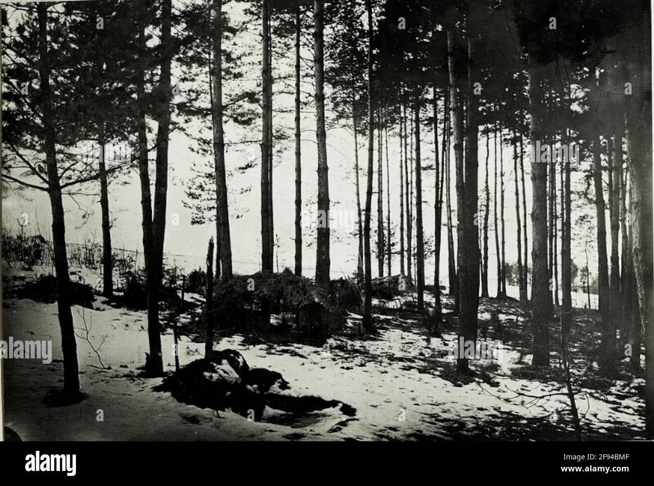 Russische Schutzhütten am Nordhang von Glinska Ga., Stockfoto